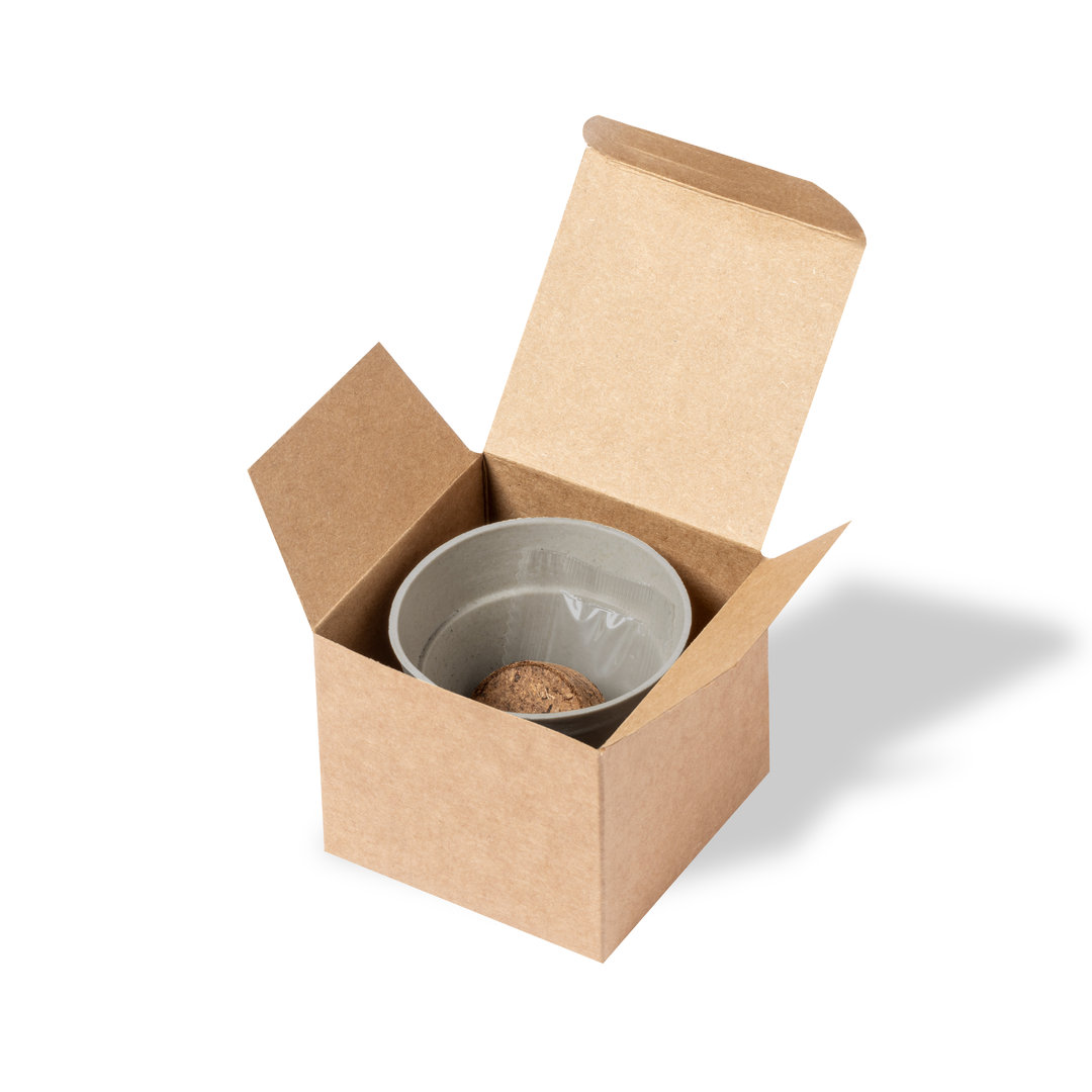 Maceta Tumil - Imagen 5