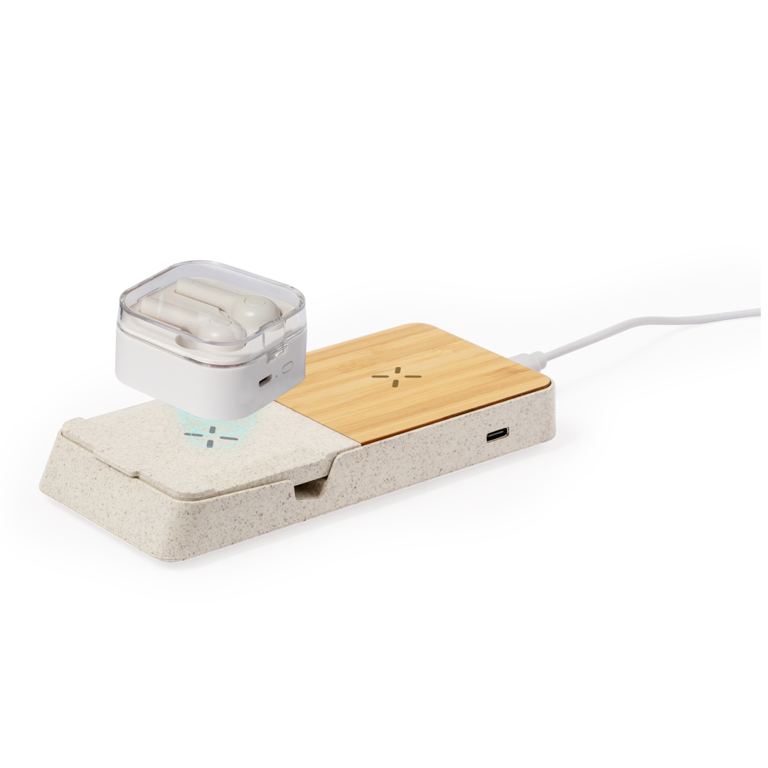 Cargador Barichen - Imagen 2