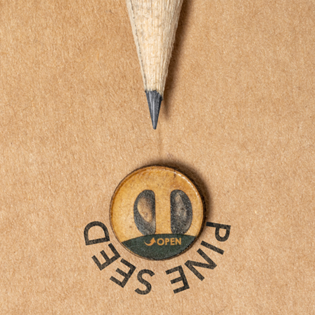 Lápiz Semillas Etesio - Imagen 5