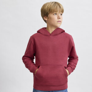 Sudadera Niño Draco