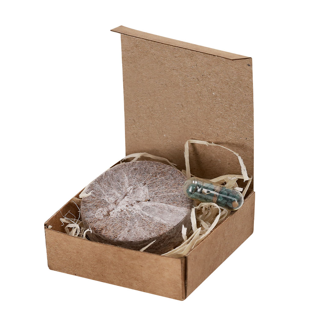 Pack Plantable Aquael - Imagen 2