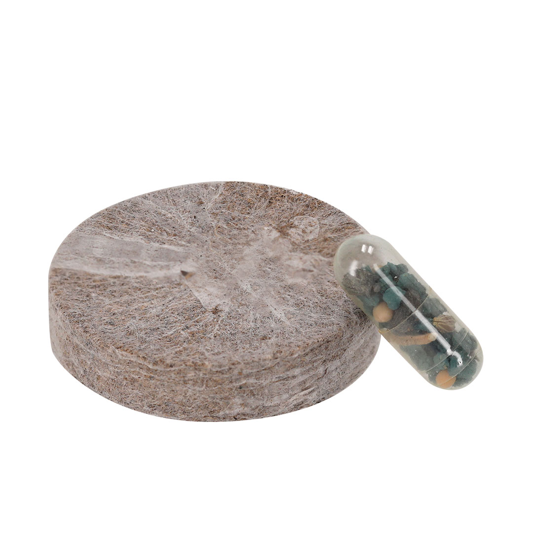 Pack Plantable Aquael - Imagen 3