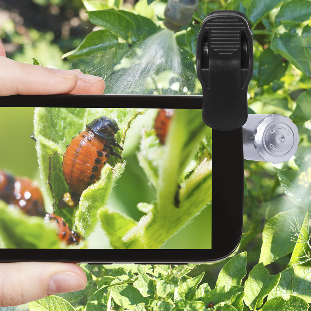 Microscopio Dicson 60X - Imagen 3